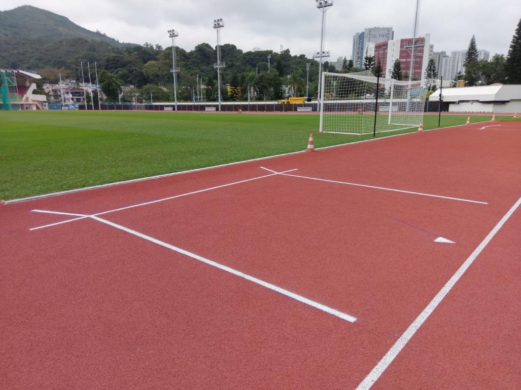 Tai Po Sports Ground