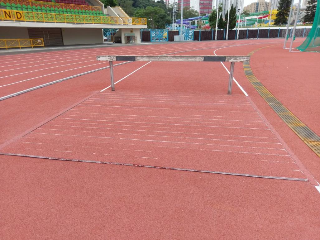 Tai Po Sports Ground