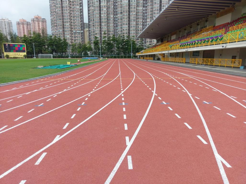 Tai Po Sports Ground